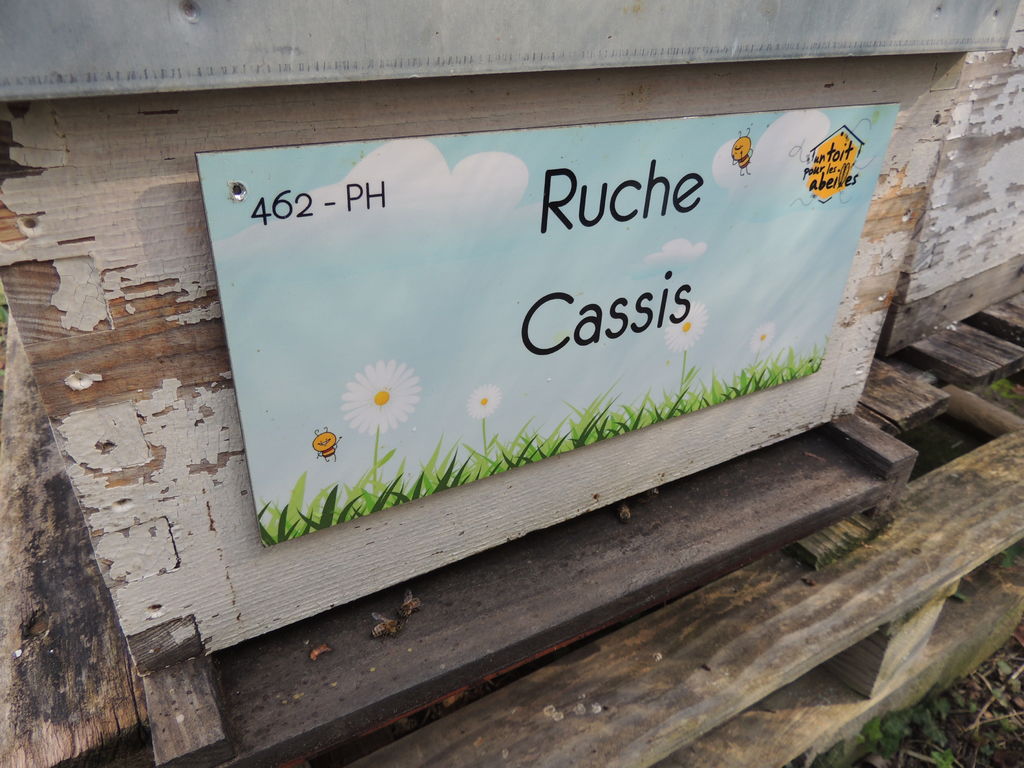 La ruche Cassis