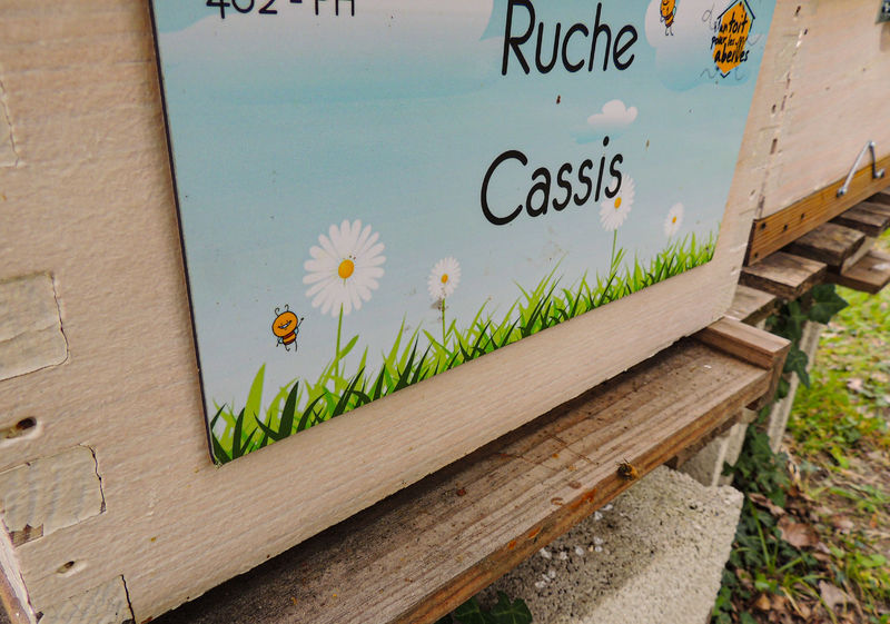 La ruche Cassis