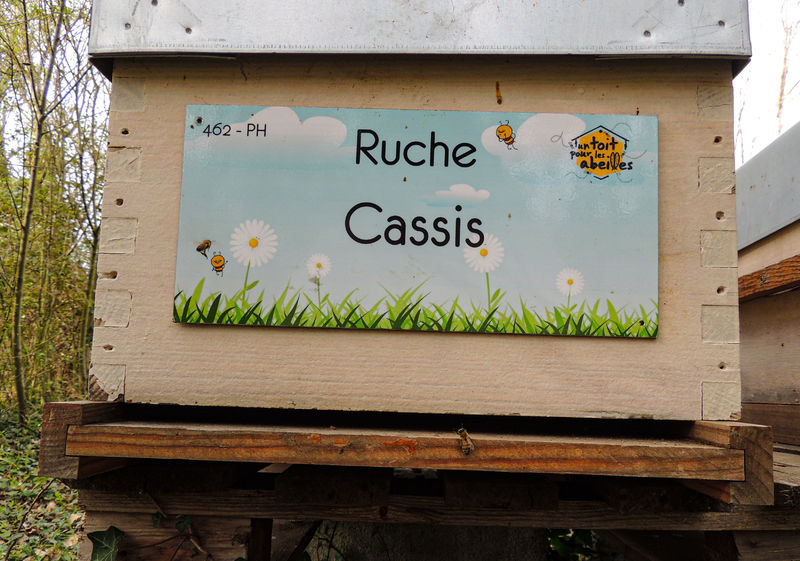 La ruche Cassis