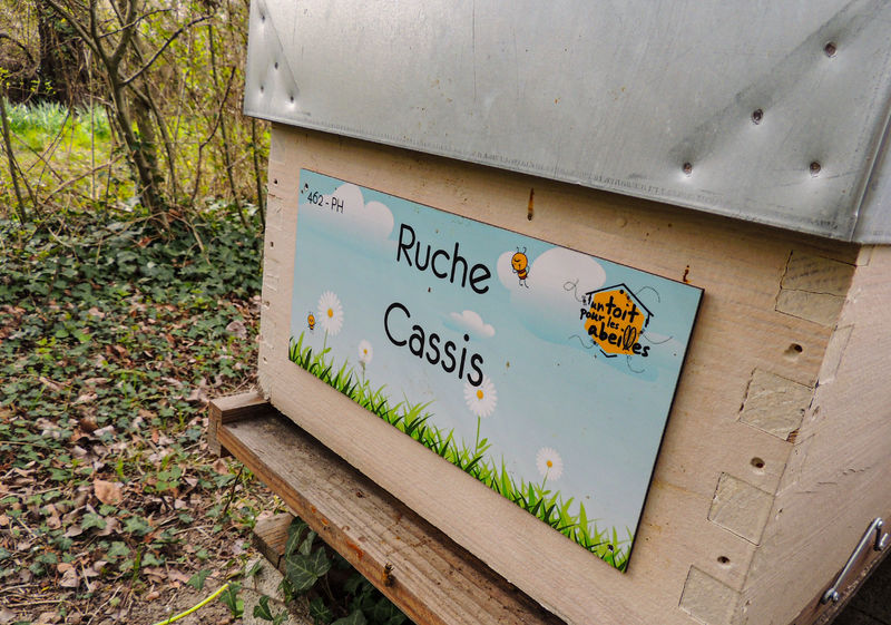 La ruche Cassis