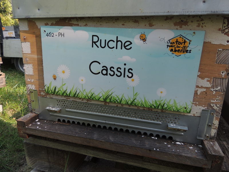La ruche Cassis
