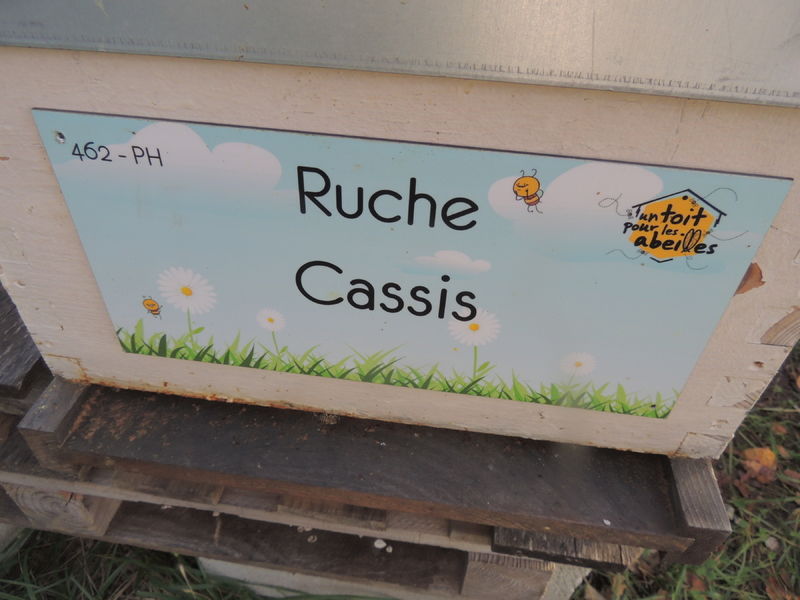 La ruche