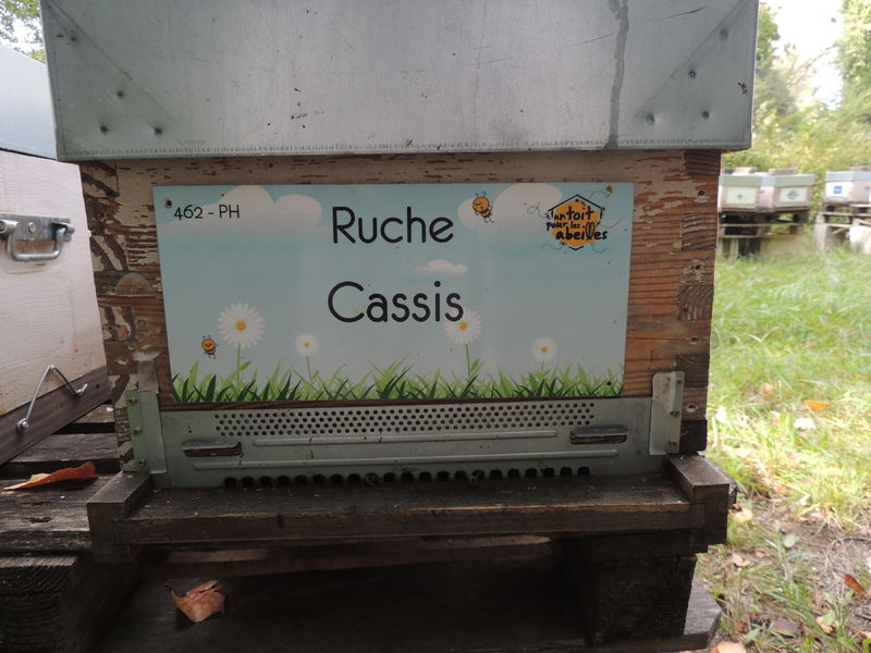La ruche Cassis