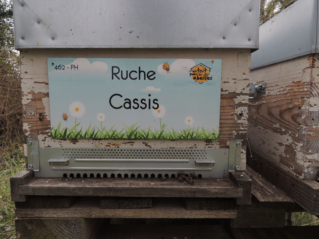 La ruche Cassis