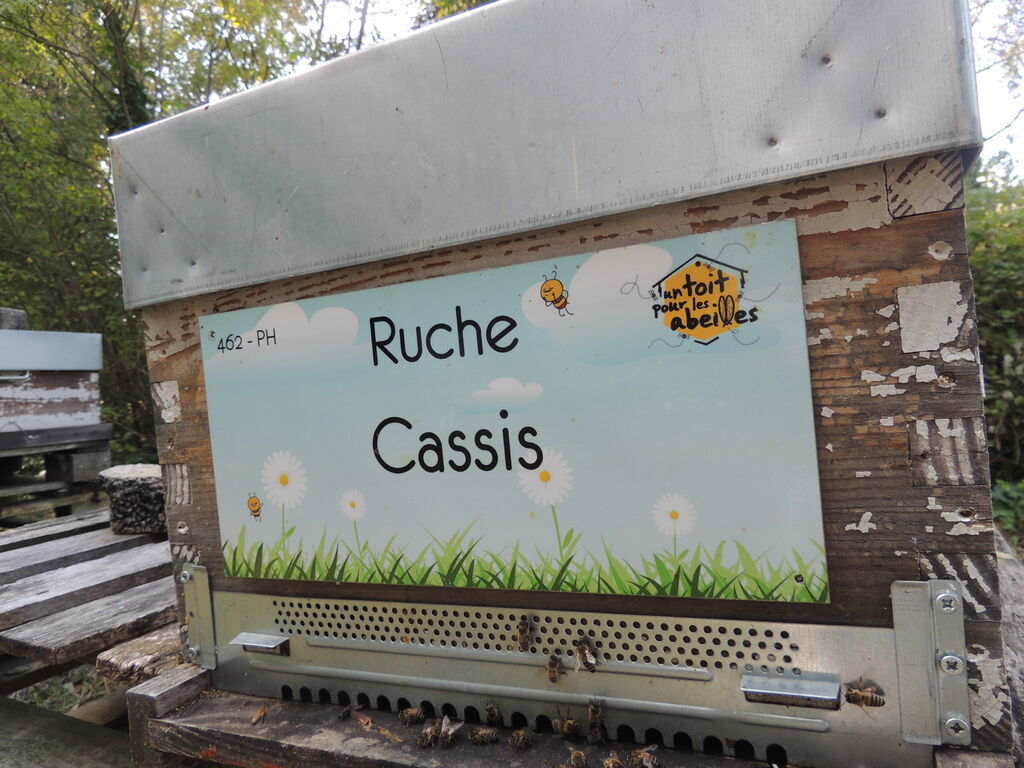 La ruche Cassis