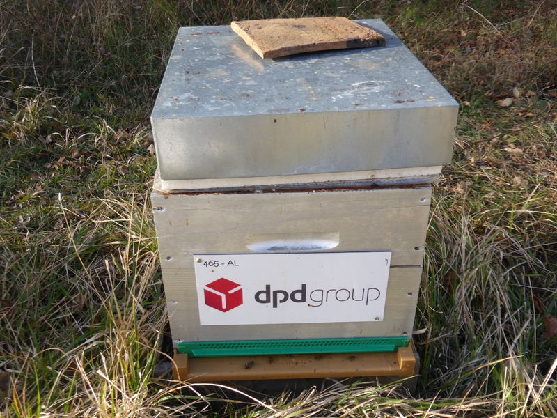 La ruche DPDgroup