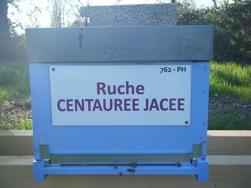 La ruche