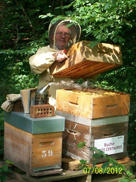 La ruche Petite centaurée