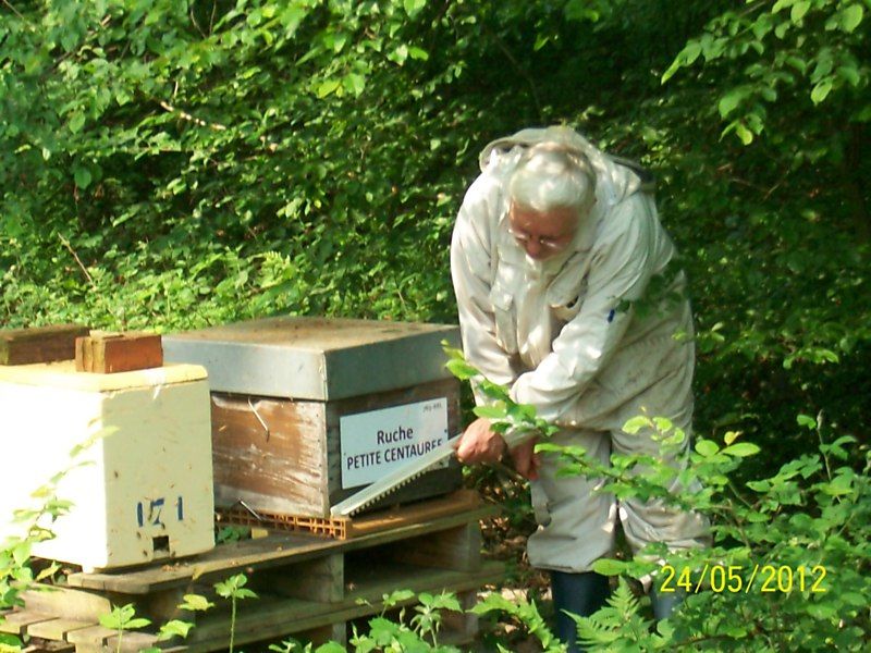La ruche Petite centaurée