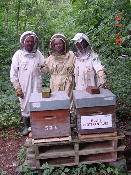 La ruche Petite centaurée