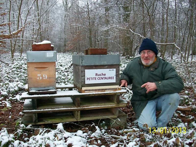 La ruche Petite centaurée