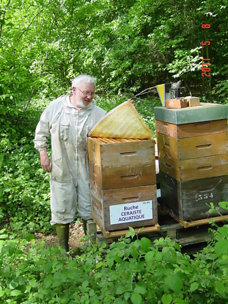 La ruche Ceraiste aquatique