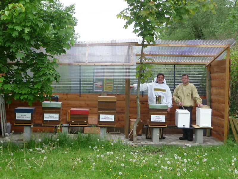 La ruche Ceraiste aquatique