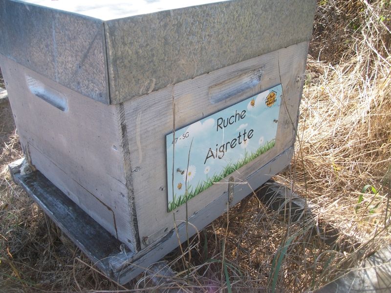 La ruche Aigrette