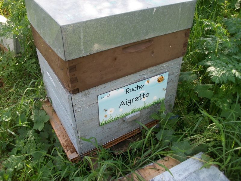 La ruche Aigrette
