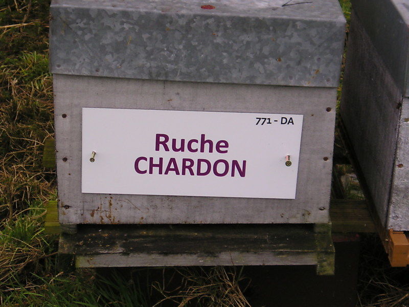 La ruche Chardon