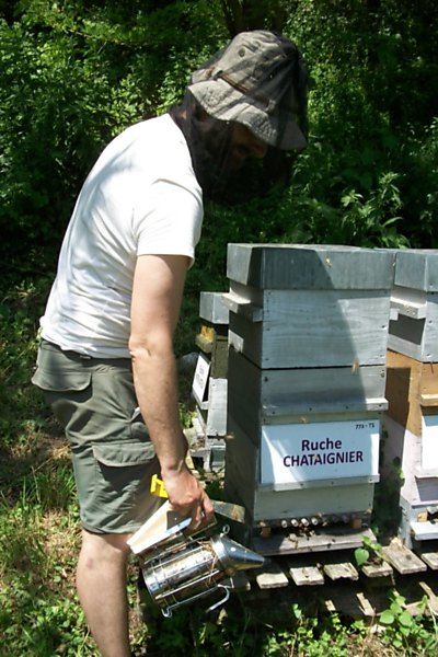 La ruche Chataignier