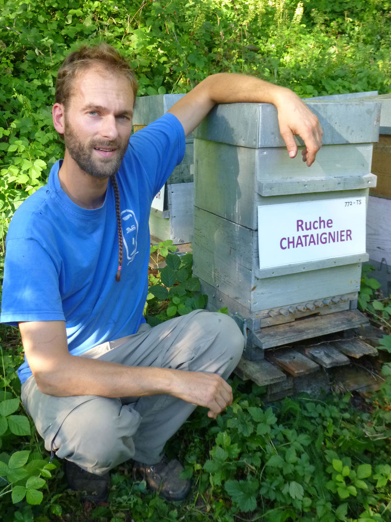 La ruche Chataignier