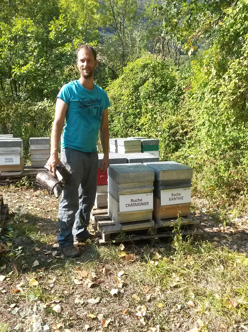 La ruche Chataignier