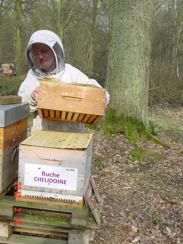 La ruche Chelidoine