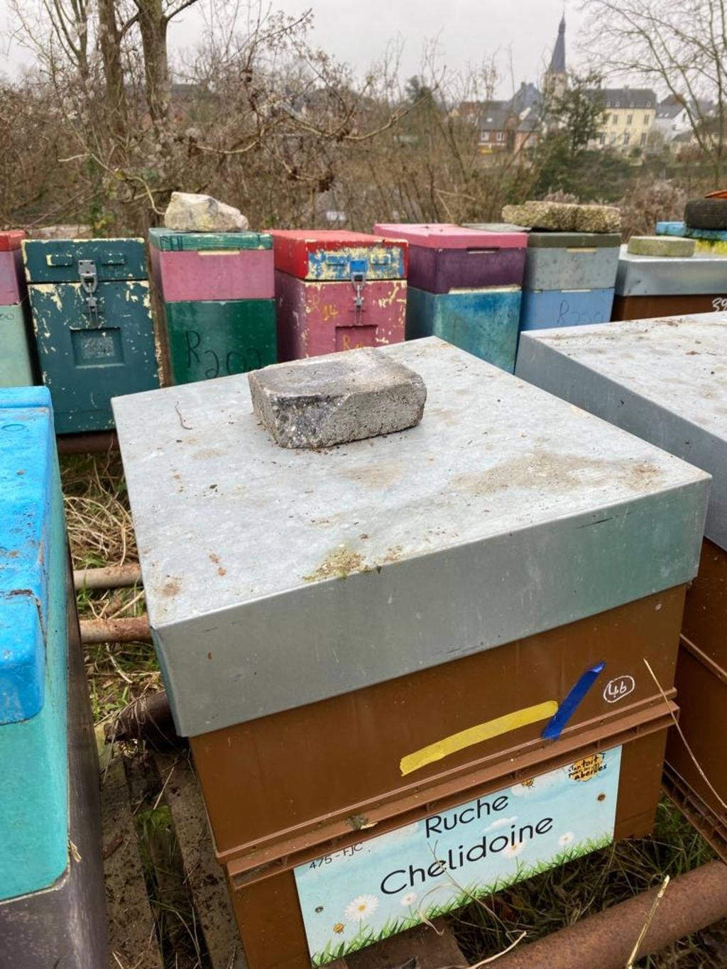 La ruche Chelidoine