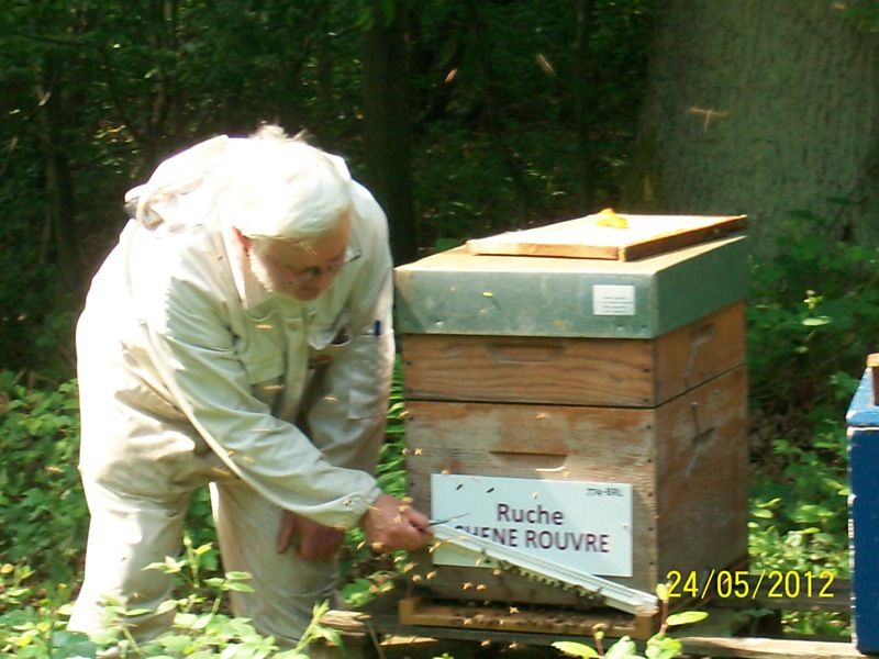 La ruche Chêne rouvre