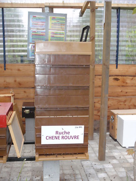 La ruche Chêne rouvre