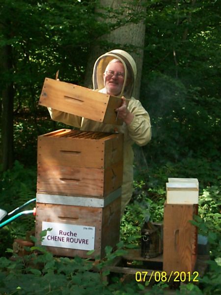 La ruche Chêne rouvre