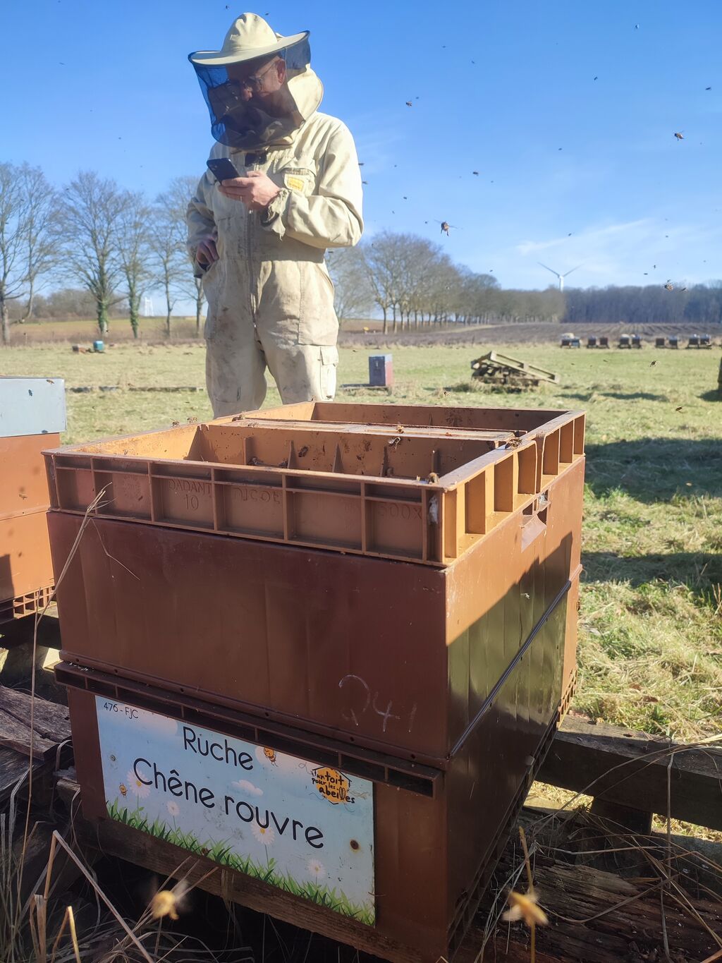 La ruche Chêne rouvre