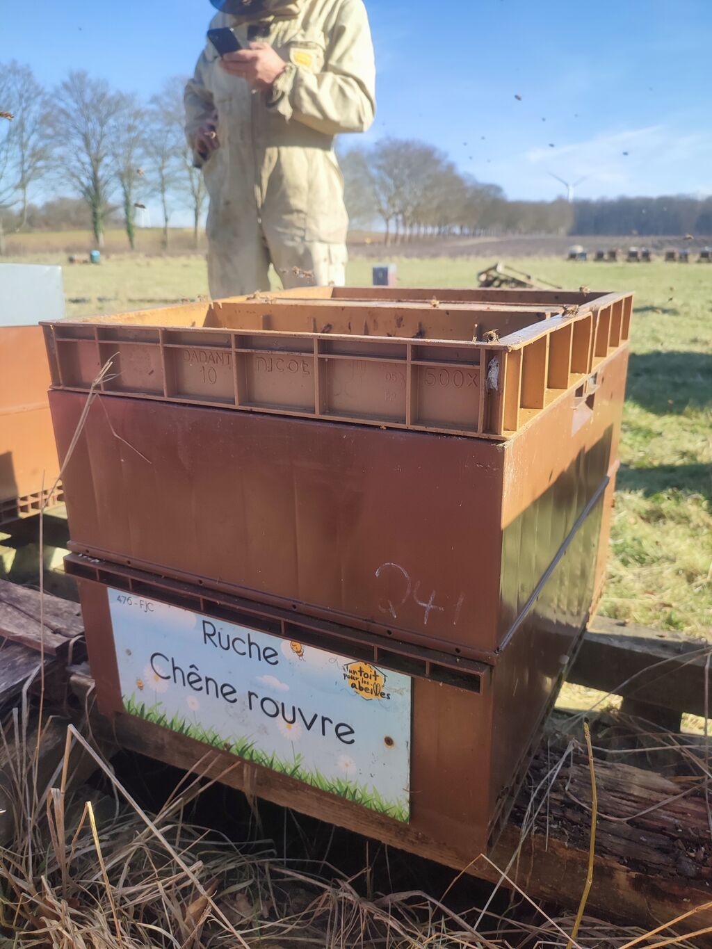 La ruche Chêne rouvre
