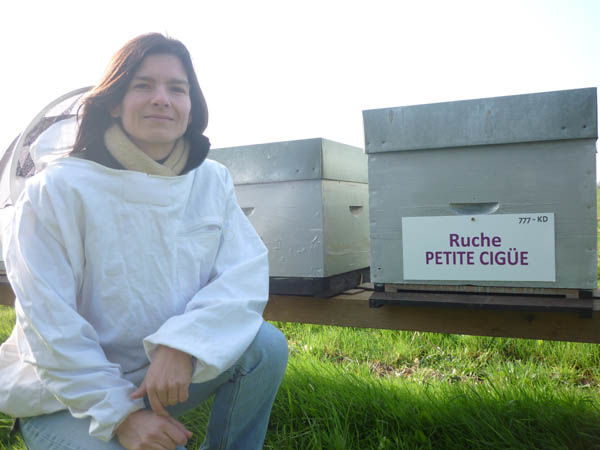 La ruche Petite ciguë