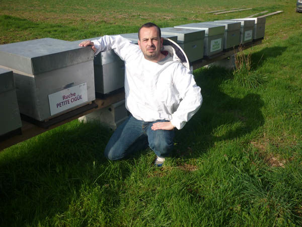 La ruche Petite ciguë