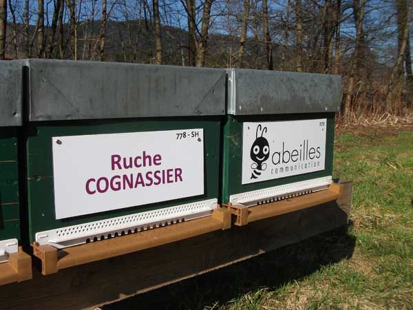 La ruche Cognassier