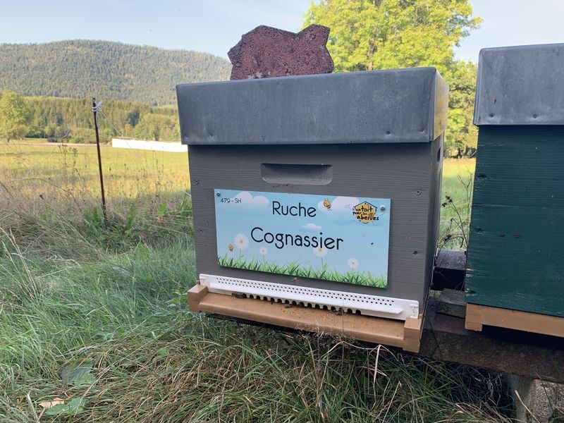 La ruche Cognassier