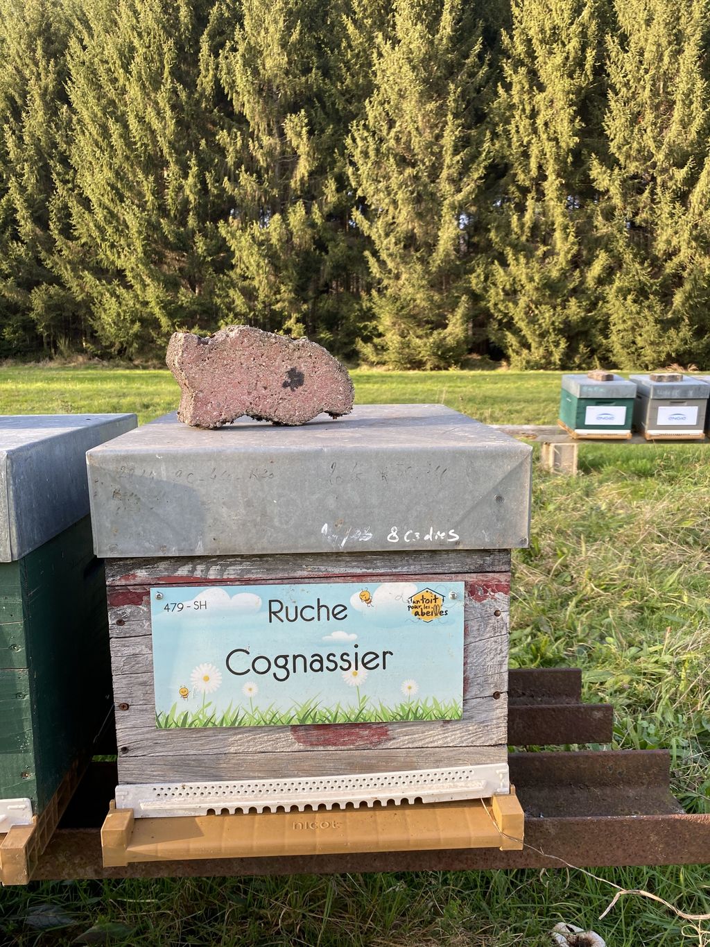 La ruche Cognassier