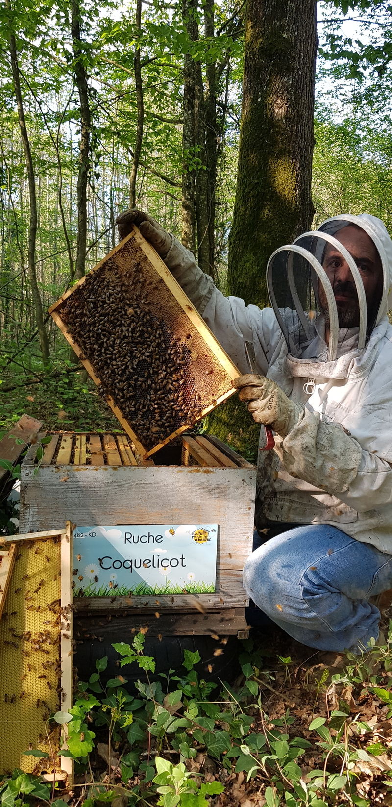 La ruche Coquelicot