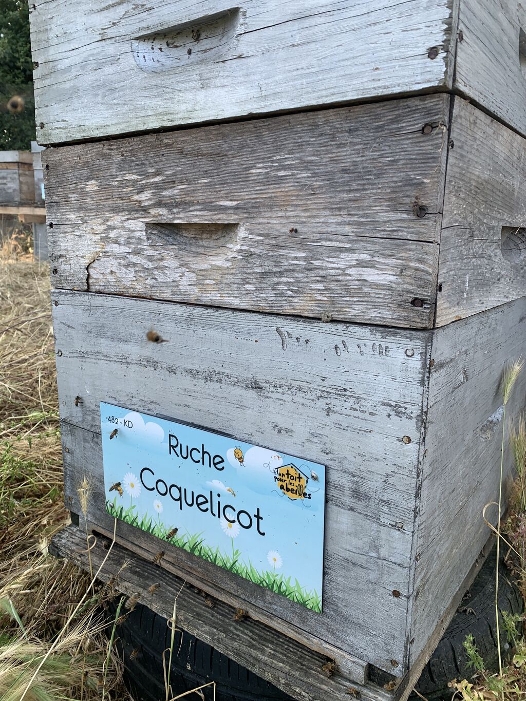 La ruche Coquelicot