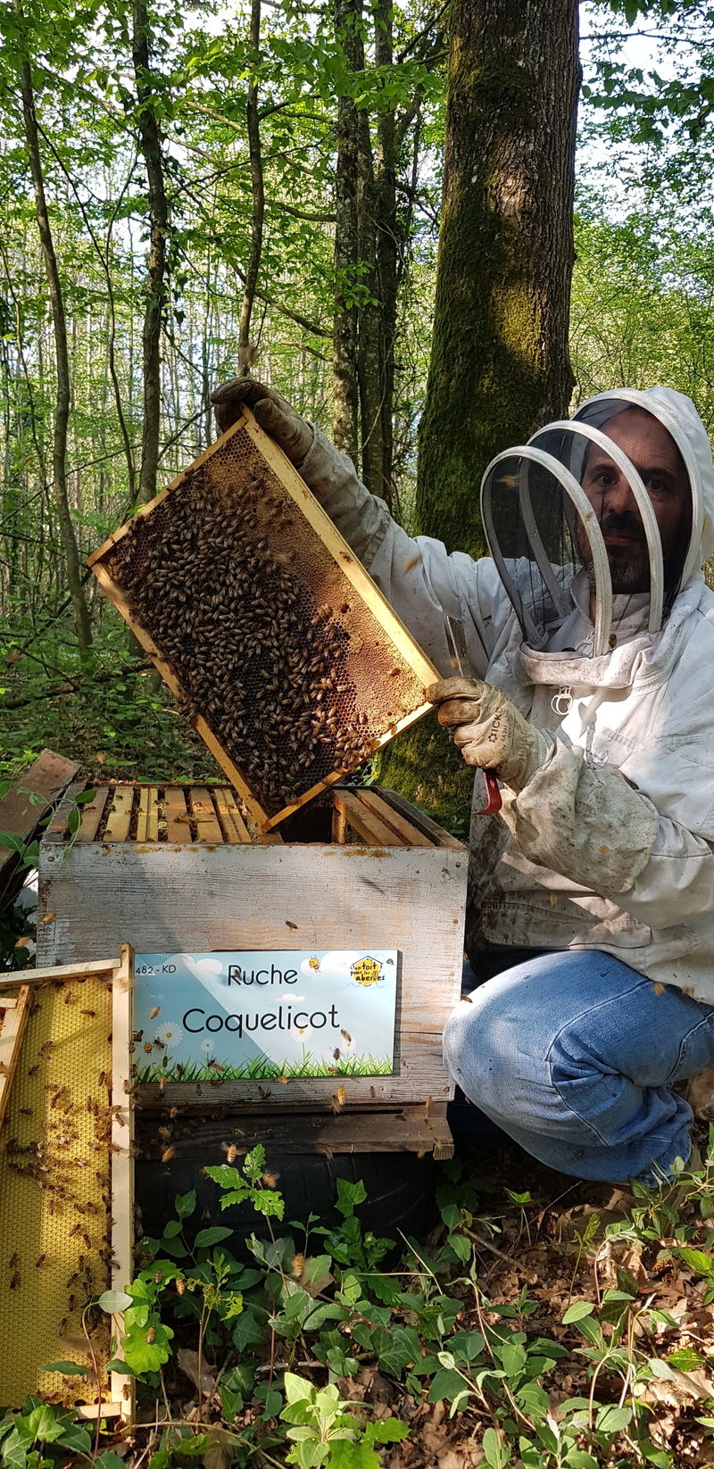 La ruche Coquelicot