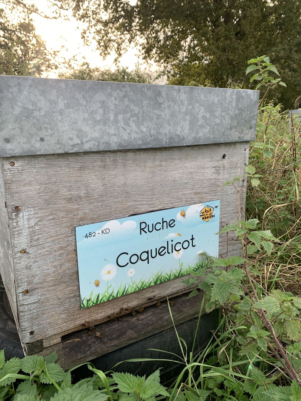 La ruche Coquelicot