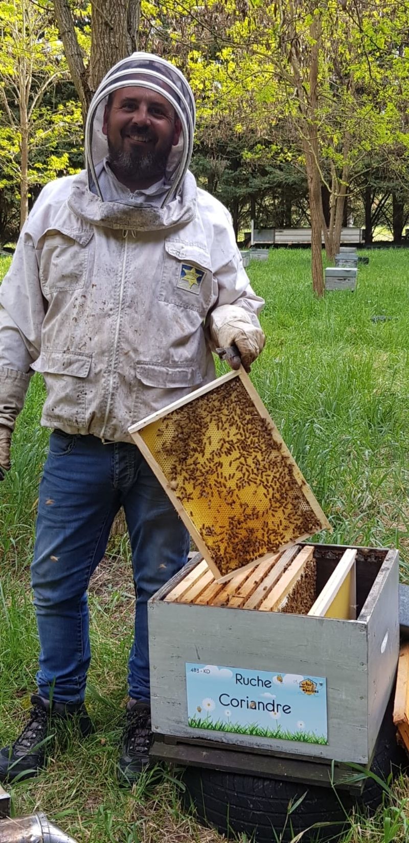 La ruche Coriandre