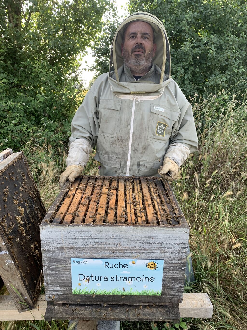 La ruche Datura stramoine