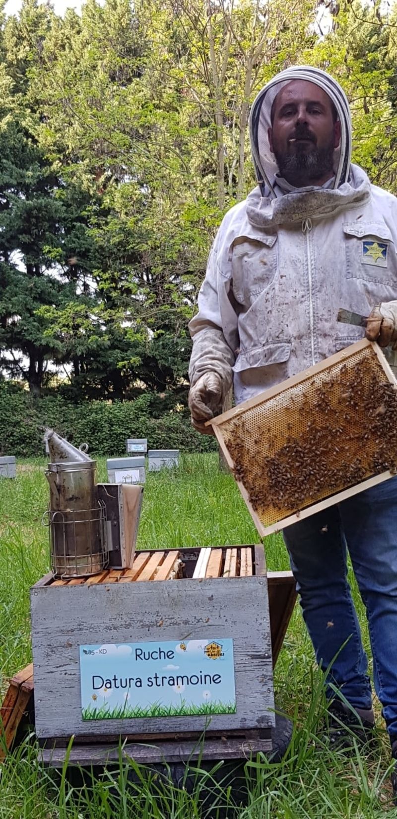 La ruche Datura stramoine