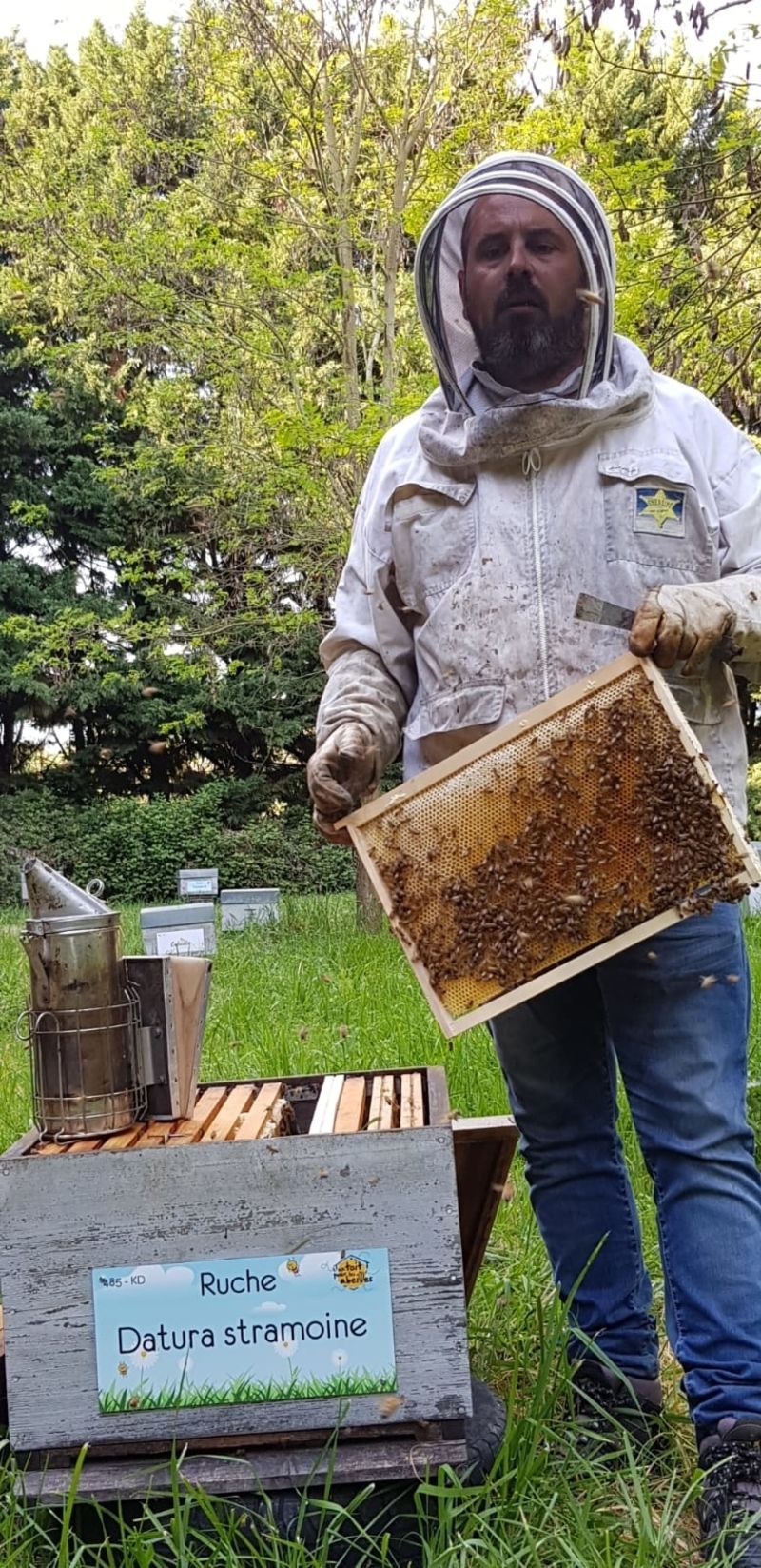 La ruche Datura stramoine