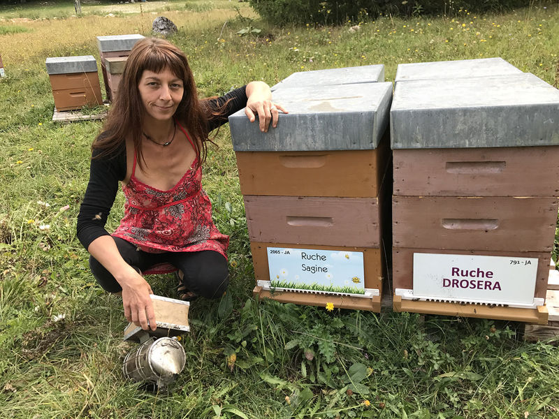 La ruche Droséra