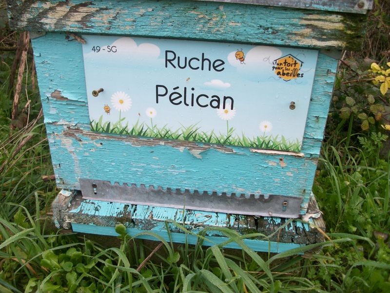 La ruche 