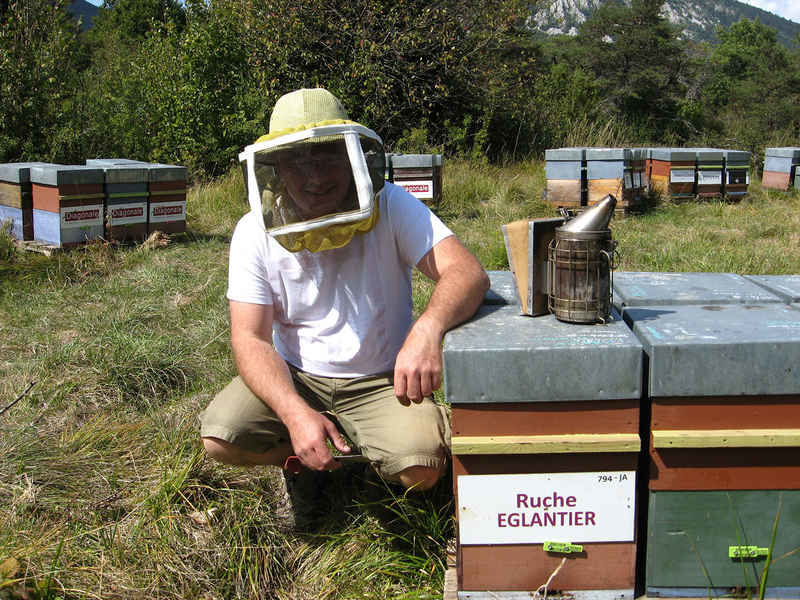 La ruche Eglantier