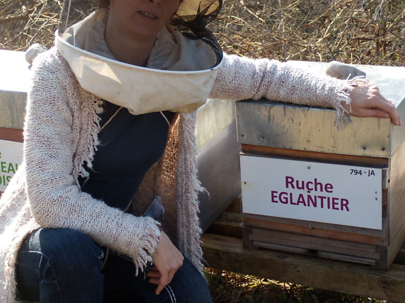 La ruche Eglantier