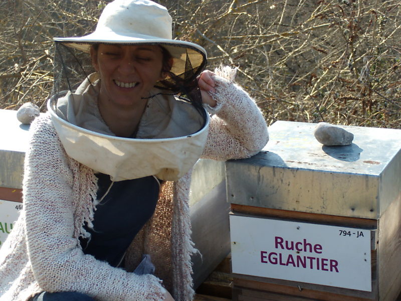 La ruche Eglantier