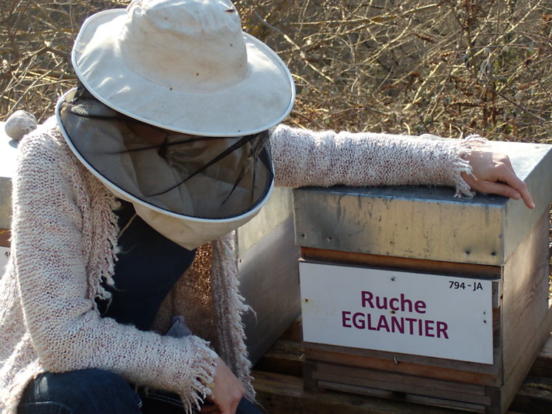 La ruche Eglantier