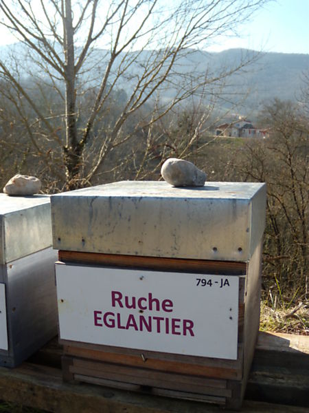 La ruche Eglantier
